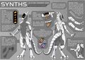 Synth fact sheet 1 small.jpg